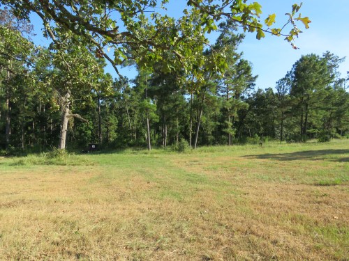 Walking alongside the sheep pen, looking south to the trees. This was right after the hay had been cut.
