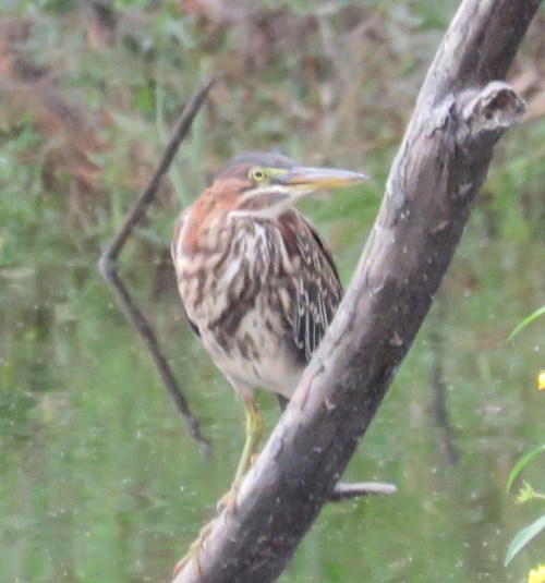 This one reminds me of the Zoolander "blue steel" look. :)