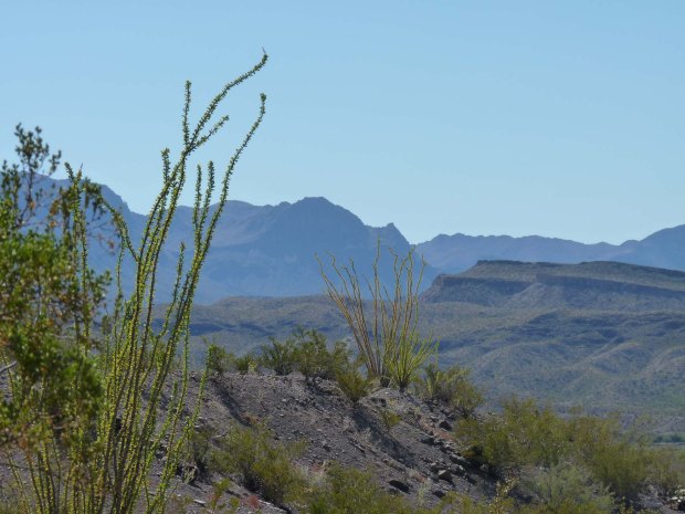 Along the Rio Grande, looking into Mexico.