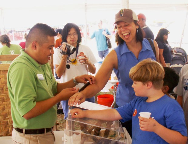 Meeting a millipede.