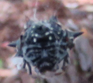 Blurry but still scary.