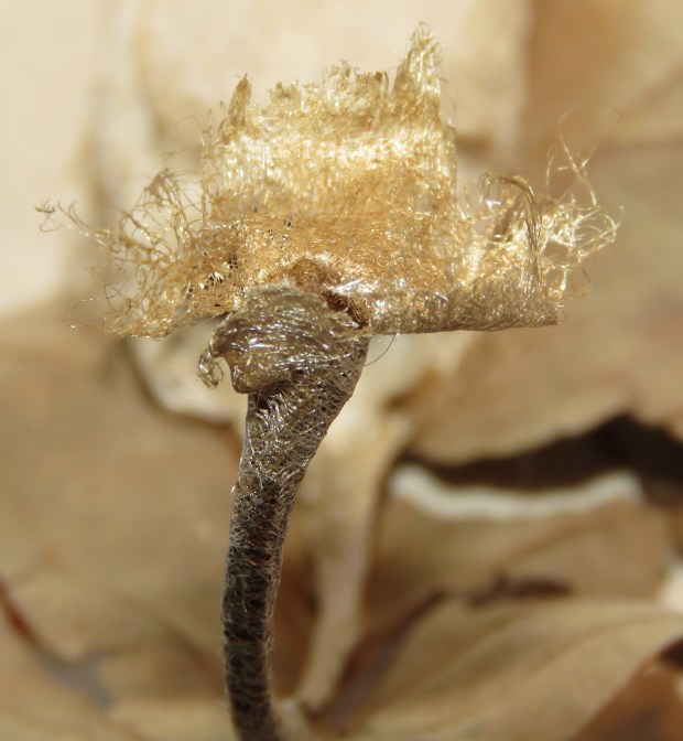 The attachment pad and stem cover look like some wild modern sculpture.