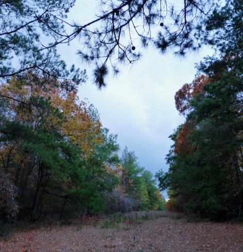 Path to the neighbors.