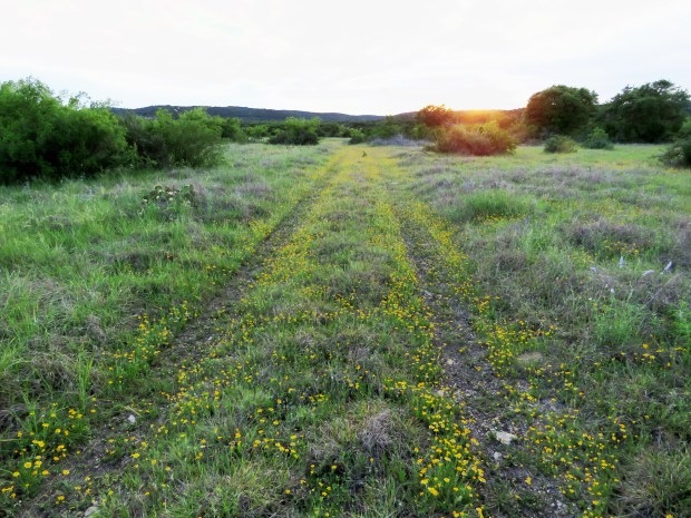 It's always nice to see the place when it's green after a rain.