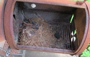 Wren nest in old barbecue smoker.