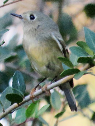 It made sure I caught every lovely angle.