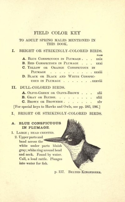 Key from Birds of Village and Field.