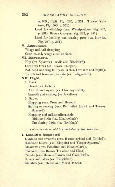 Part of the Observation Outline.