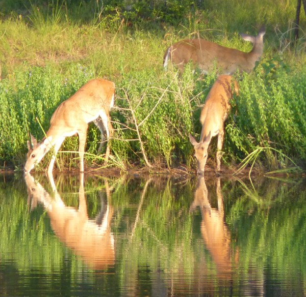 But at least I'm among good company.