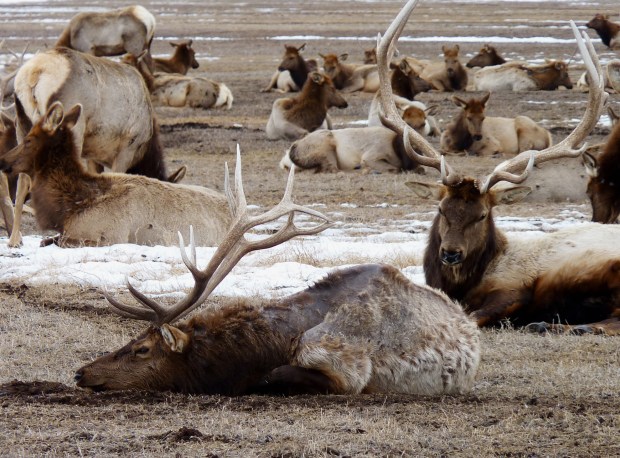 Really really relaxed.