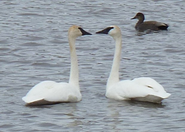 Could they be any more photogenic?