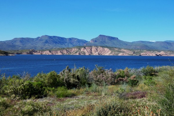 Roosevelt Lake, Arizona.
