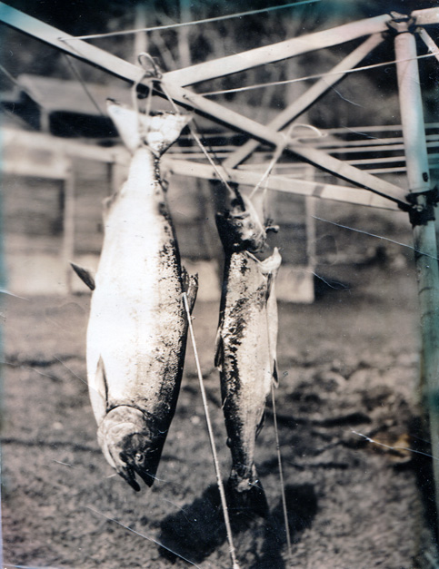 caught fish, Alaska, 1934