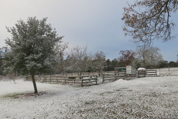 snow on fence